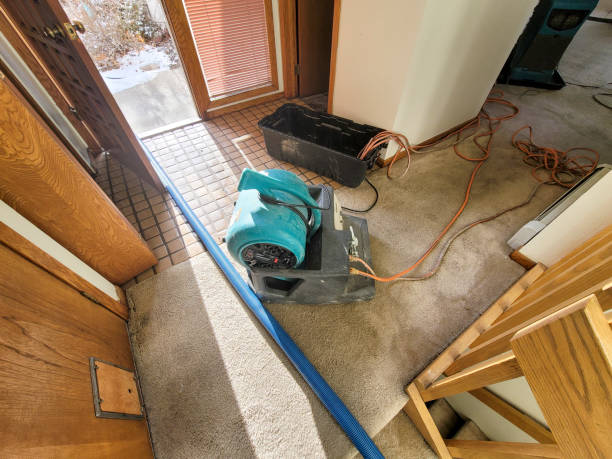 Best Ceiling water damage repair  in Croton On Hudson, NY
