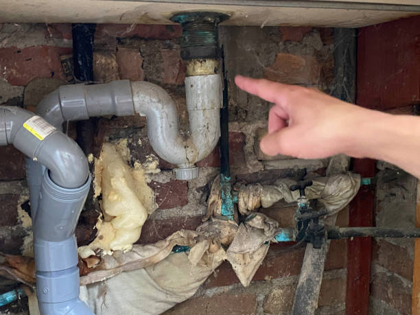Best Flood damage cleanup  in Croton On Hudson, NY